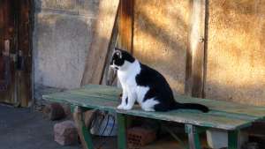 Grosses bild anzeigen 20061026 045.jpg